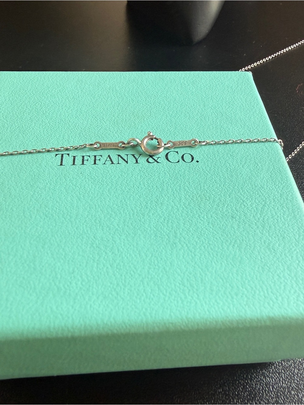Tiffany&Co. Elsa Peretti 18" Sterling Silver Cable Chain Necklace Spain Bone Tag